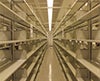 050113 Books on the Move.jpg